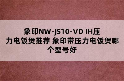 象印NW-JS10-VD IH压力电饭煲推荐 象印带压力电饭煲哪个型号好